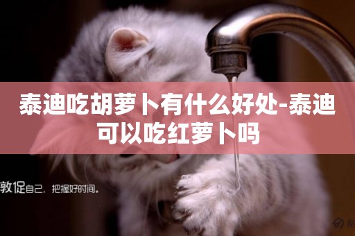 泰迪吃胡蘿卜有什么好處-泰迪可以吃紅蘿卜嗎