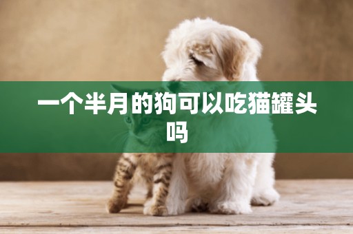 一個半月的狗可以吃貓罐頭嗎