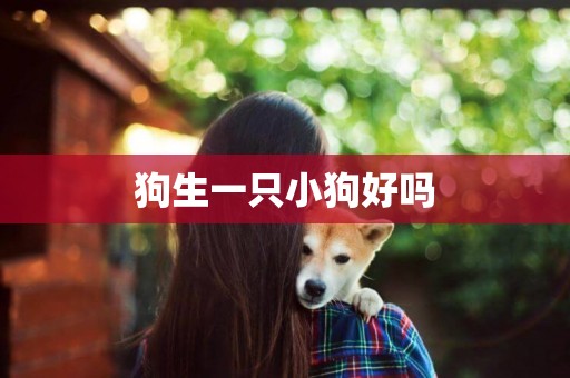 狗生一只小狗好嗎