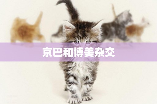京巴和博美雜交