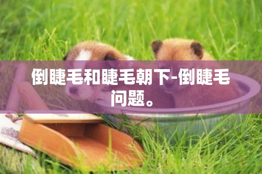 倒睫毛和睫毛朝下-倒睫毛問題。