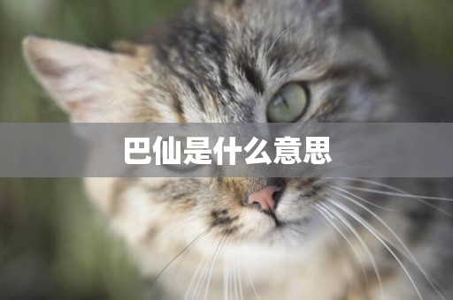 巴仙是什么意思