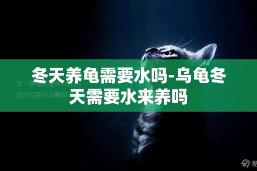 冬天養龜需要水嗎-烏龜冬天需要水來養嗎