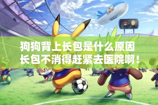 狗狗背上長包是什么原因 長包不消得趕緊去醫院啊！