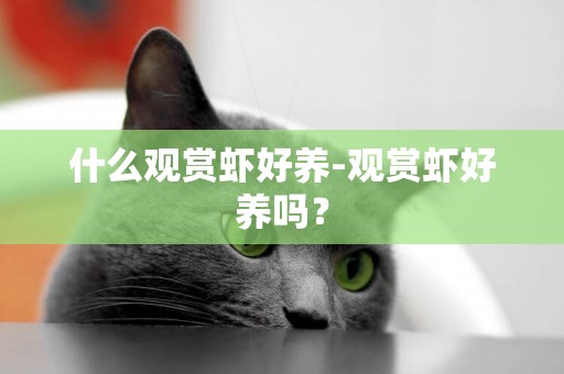 什么觀賞蝦好養-觀賞蝦好養嗎？