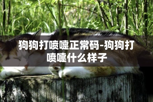 狗狗打噴嚏正常碼-狗狗打噴嚏什么樣子
