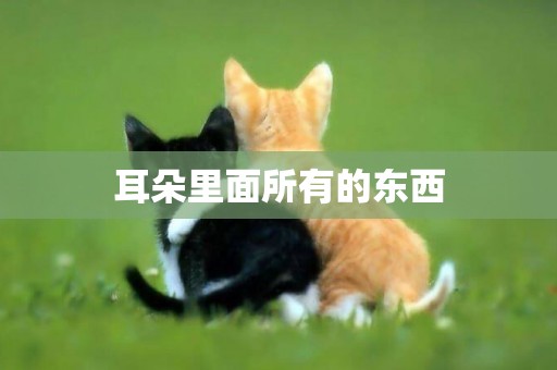 耳朵里面所有的東西