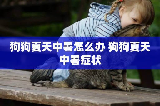 狗狗夏天中暑怎么辦 狗狗夏天中暑癥狀