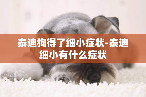 泰迪狗得了細小癥狀-泰迪細小有什么癥狀