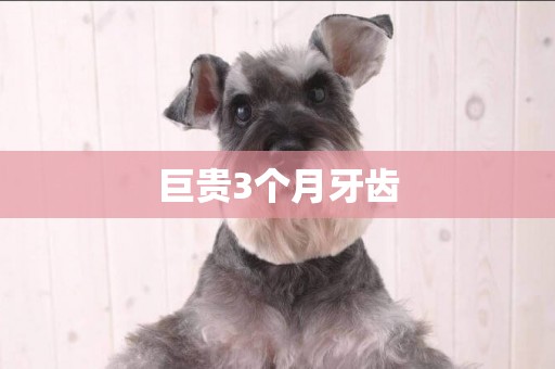 巨貴3個月牙齒