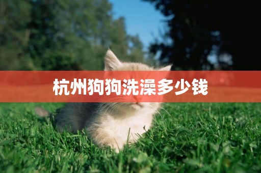 杭州狗狗洗澡多少錢