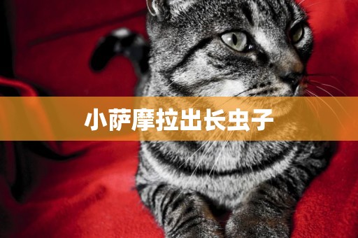小薩摩拉出長蟲子