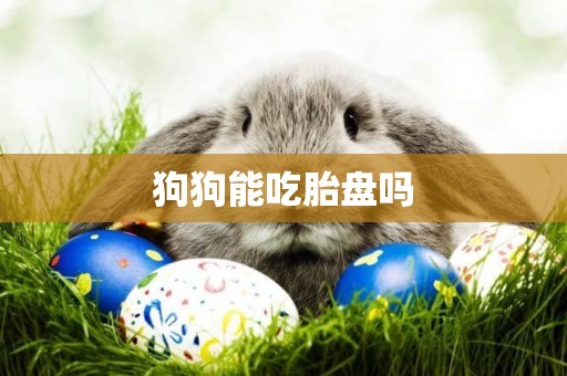 狗狗能吃胎盤嗎