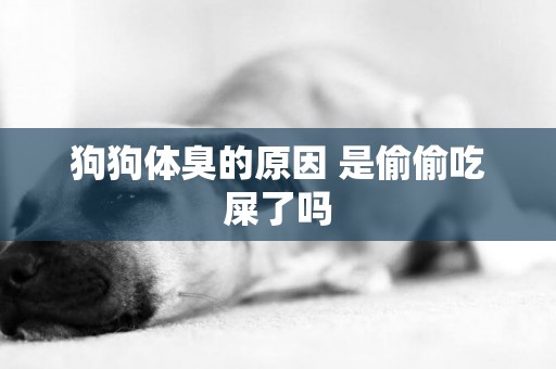 狗狗體臭的原因 是偷偷吃屎了嗎