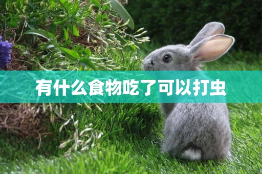 有什么食物吃了可以打蟲