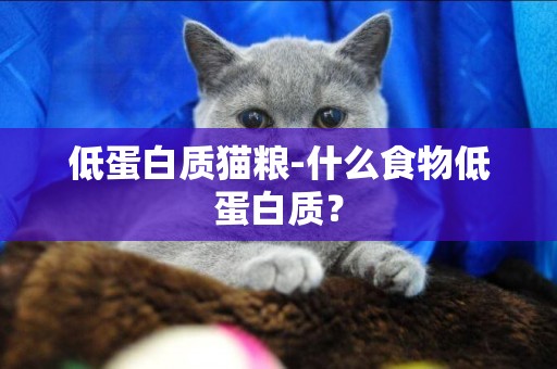 低蛋白質貓糧-什么食物低蛋白質？
