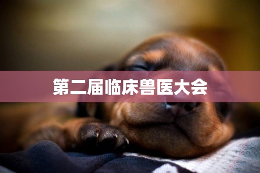第二屆臨床獸醫大會