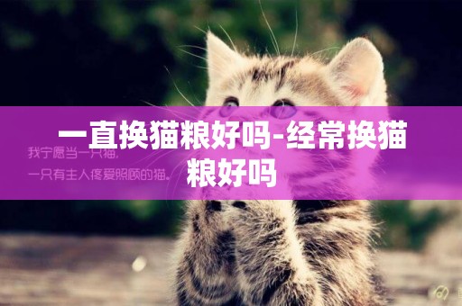 一直換貓糧好嗎-經常換貓糧好嗎