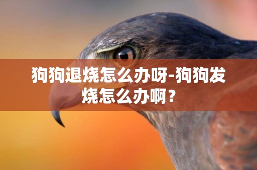 狗狗退燒怎么辦呀-狗狗發燒怎么辦啊？