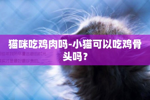 貓咪吃雞肉嗎-小貓可以吃雞骨頭嗎？