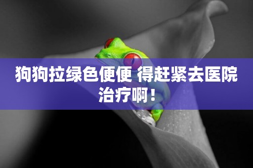 狗狗拉綠色便便 得趕緊去醫院治療啊！