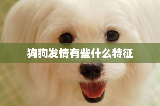 狗狗發情有些什么特征