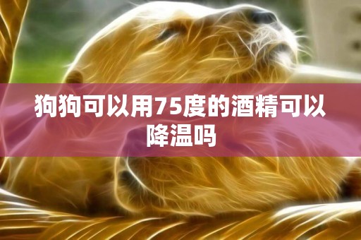 狗狗可以用75度的酒精可以降溫嗎