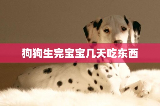 狗狗生完寶寶幾天吃東西