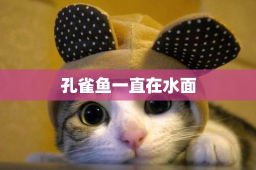 孔雀魚一直在水面