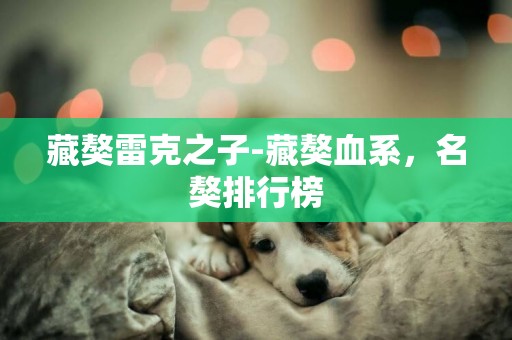 藏獒雷克之子-藏獒血系，名獒排行榜