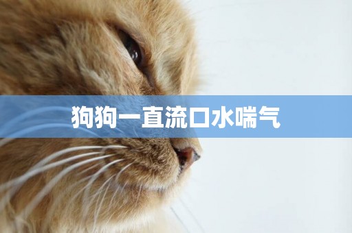 狗狗一直流口水喘氣