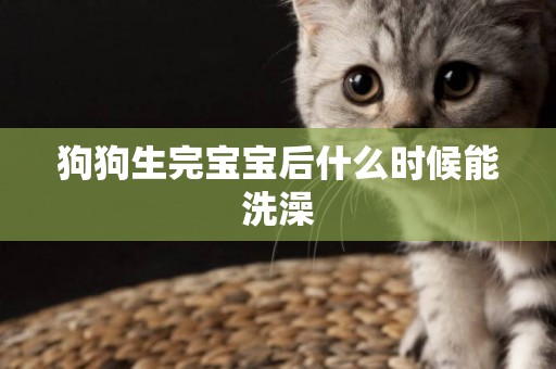 狗狗生完寶寶后什么時候能洗澡