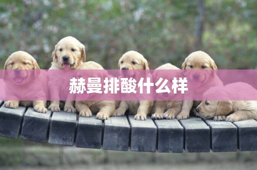 赫曼排酸什么樣