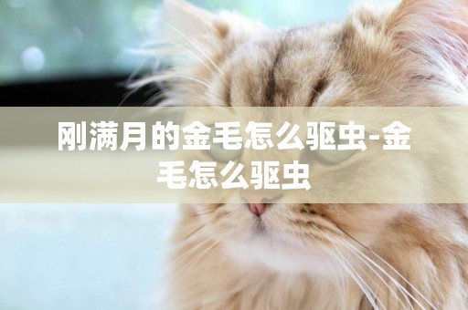 剛滿月的金毛怎么驅蟲-金毛怎么驅蟲