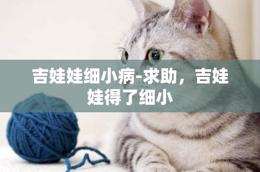 吉娃娃細小病-求助，吉娃娃得了細小