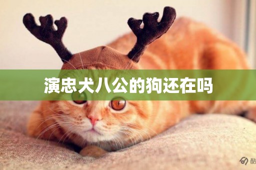 演忠犬八公的狗還在嗎