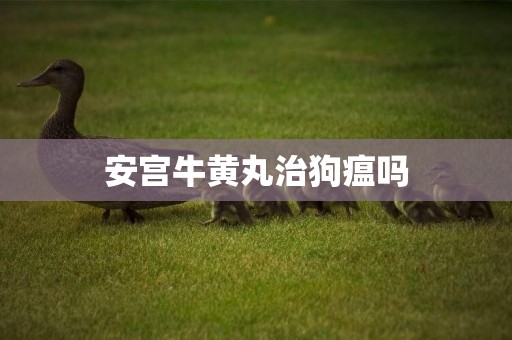 安宮牛黃丸治狗瘟嗎