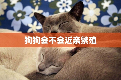 狗狗會不會近親繁殖