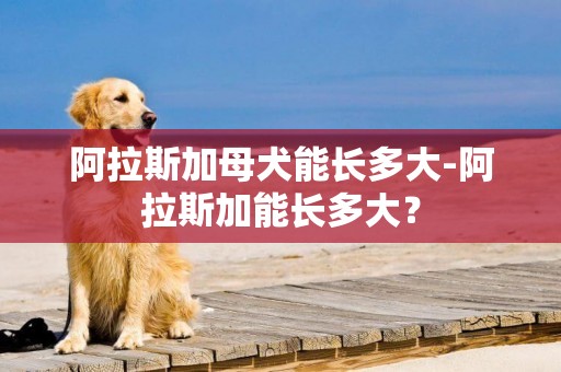 阿拉斯加母犬能長多大-阿拉斯加能長多大？