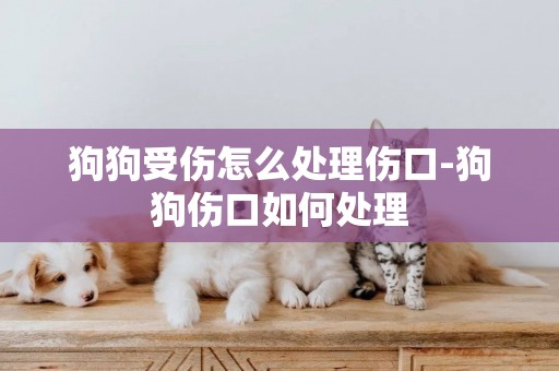 狗狗受傷怎么處理傷口-狗狗傷口如何處理