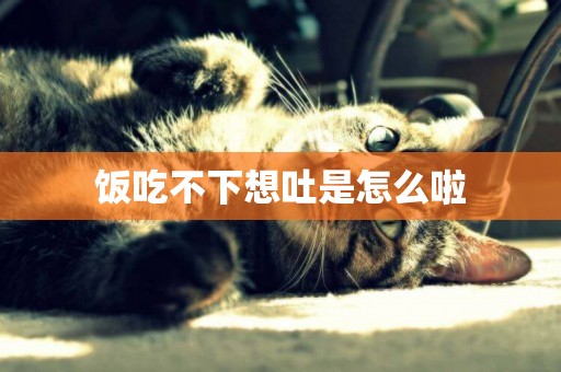 飯吃不下想吐是怎么啦