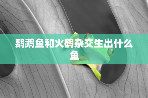 鸚鵡魚和火鶴雜交生出什么魚
