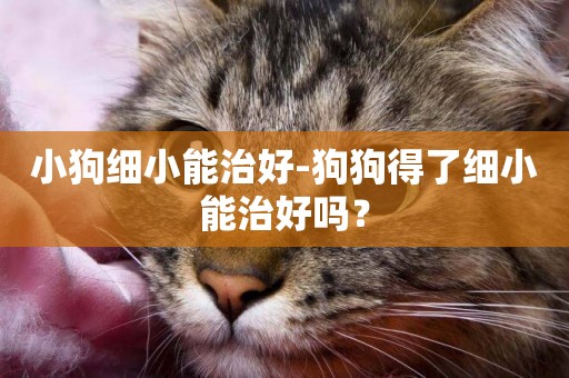 小狗細小能治好-狗狗得了細小能治好嗎？