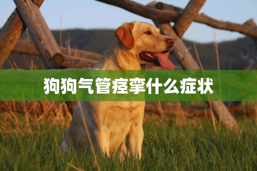 狗狗氣管痙攣什么癥狀