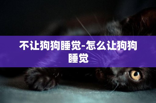 不讓狗狗睡覺-怎么讓狗狗睡覺