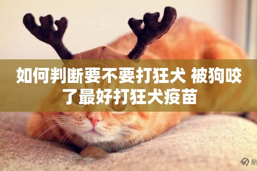 如何判斷要不要打狂犬 被狗咬了最好打狂犬疫苗 如何判斷要不要打狂犬 被狗咬了最好打狂犬疫苗