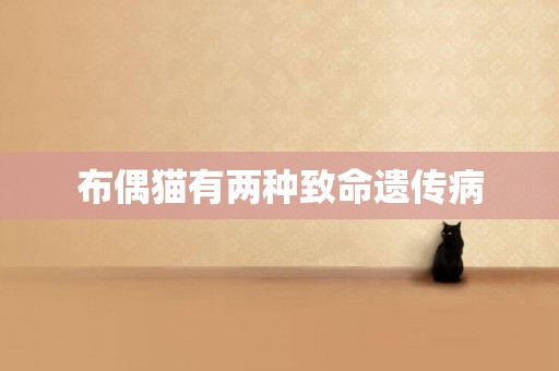 布偶貓有兩種致命遺傳病