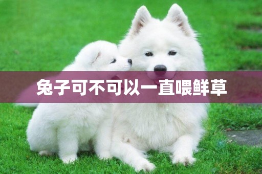 兔子可不可以一直喂鮮草