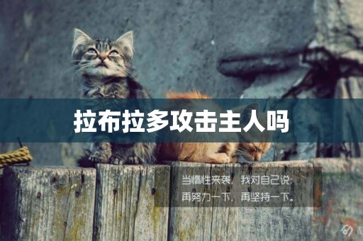拉布拉多攻擊主人嗎