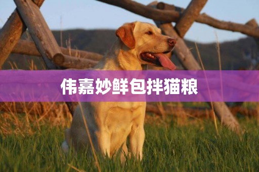 偉嘉妙鮮包拌貓糧